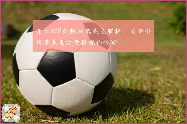 开云APP新版功能亮点解析：全面升级带来高效便捷操作体验